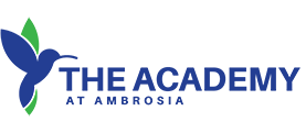 The Academy The Academy
