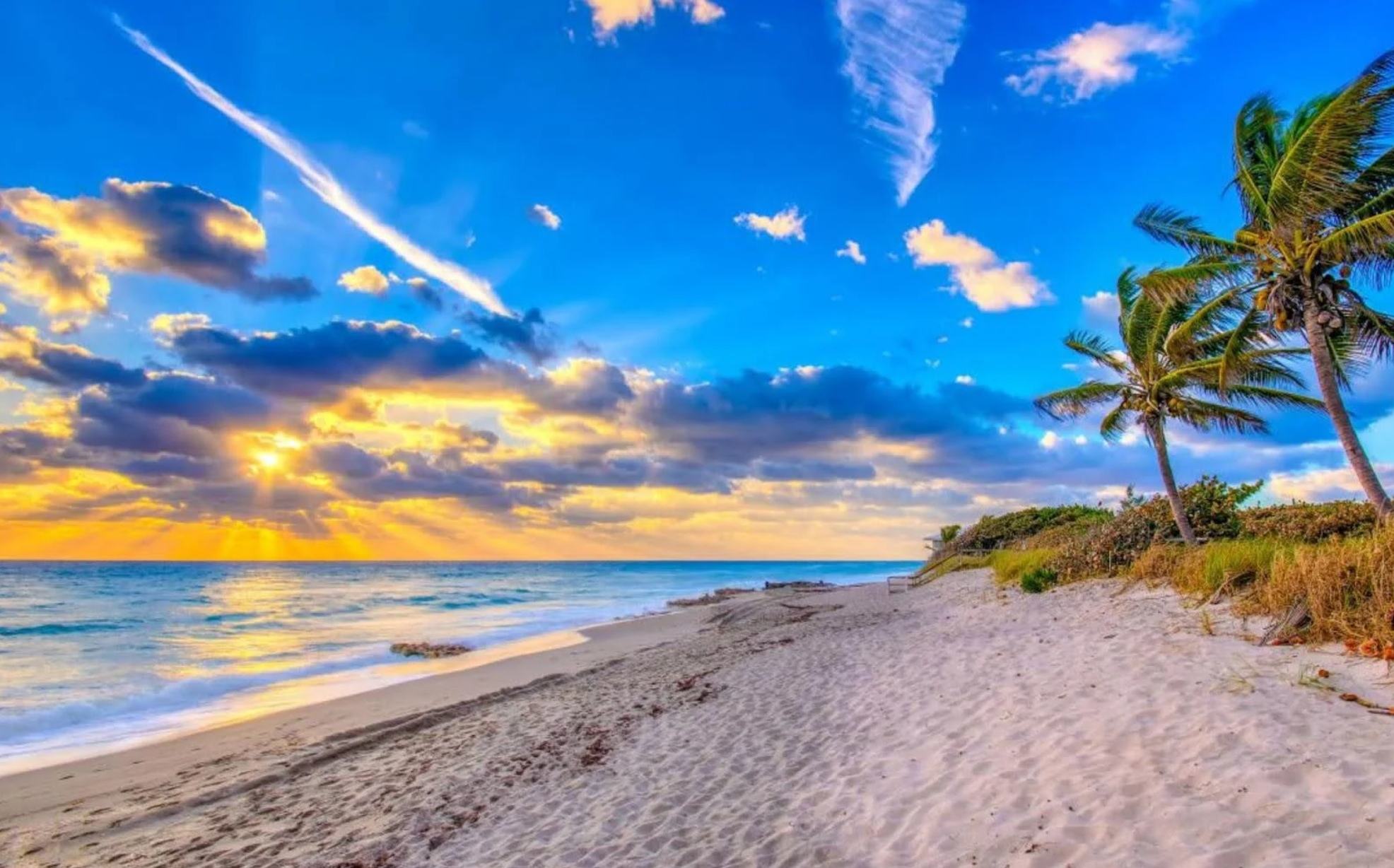 Rehab Near Me Florida Beaches Ambrosia Behavioral Health