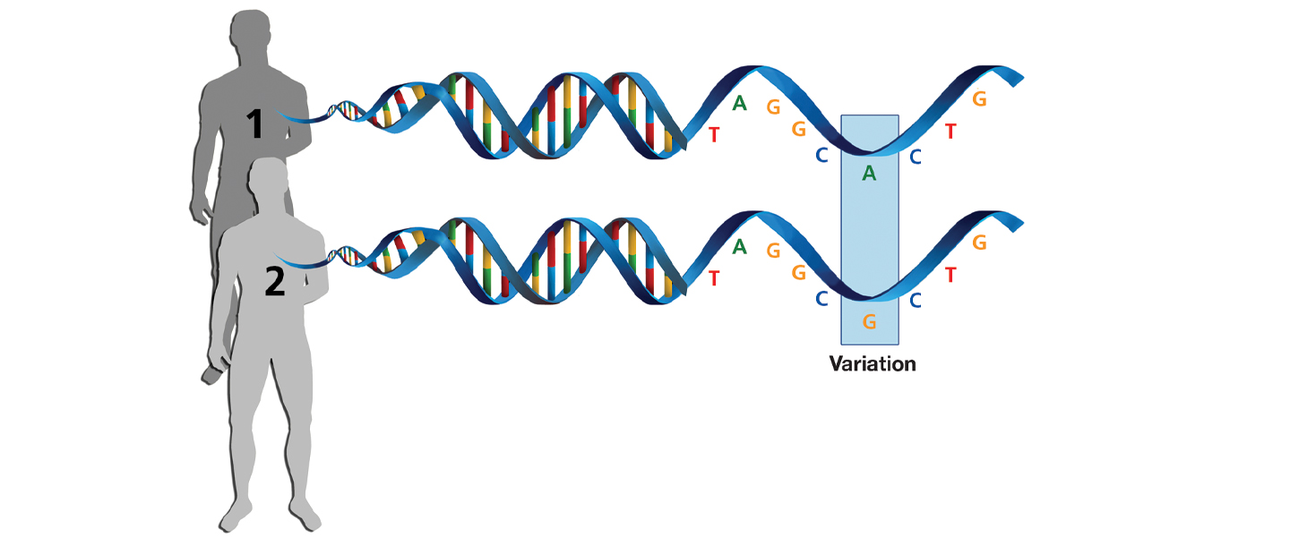 Genetics Genomes Substance Abuse Ambrosia Treatment FL